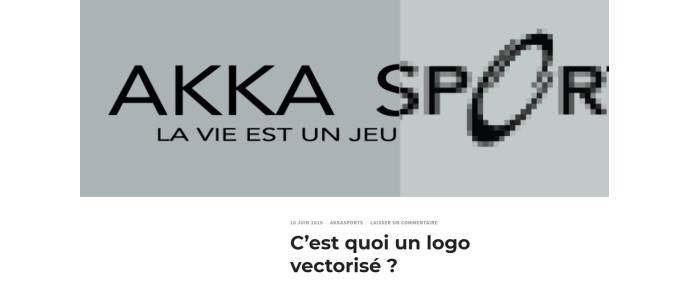 C’est quoi un logo vectorisé ?